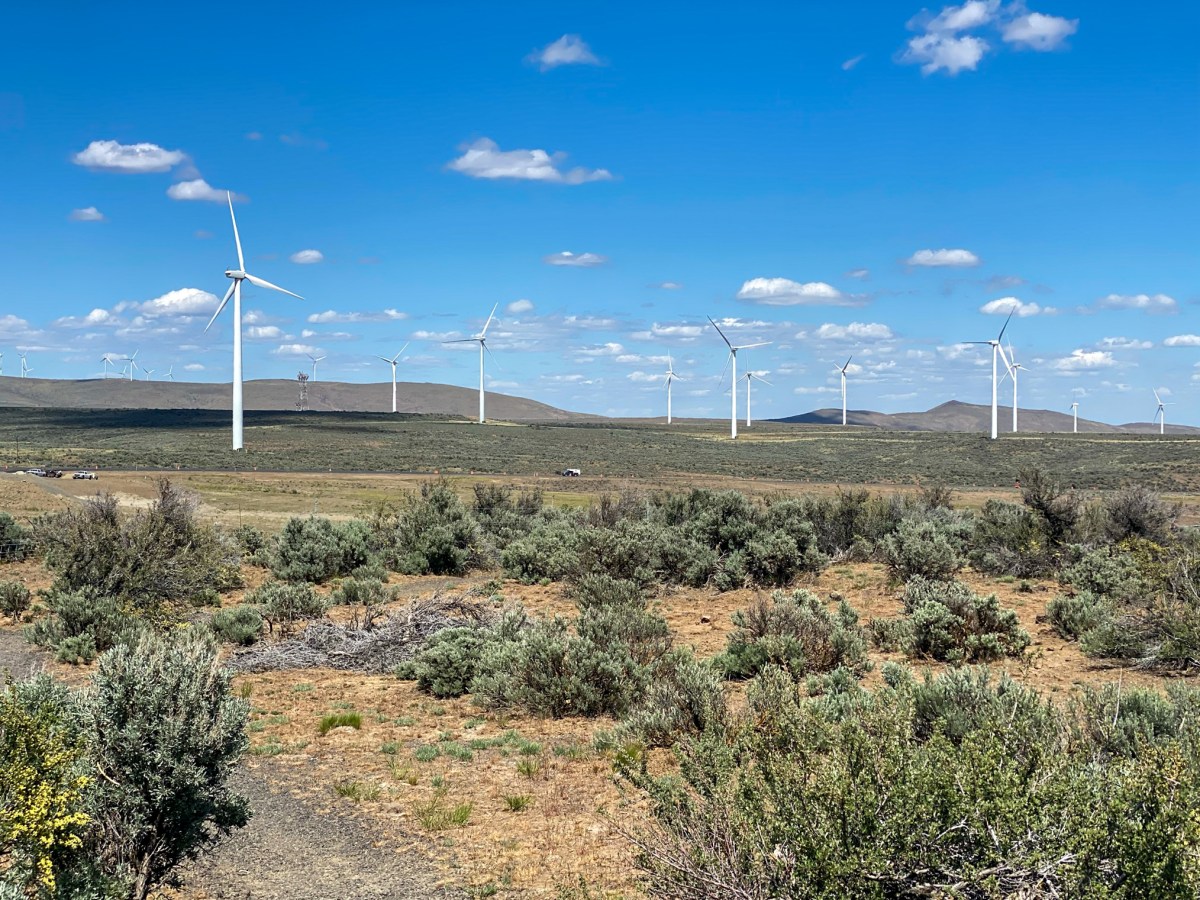 Mom’s Day at Belfair State Park,&nbsp;WA
